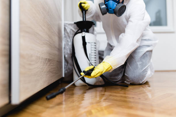 Best Termite Control Services  in Groton, SD