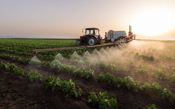 Best Mosquito Control Services  in Groton, SD