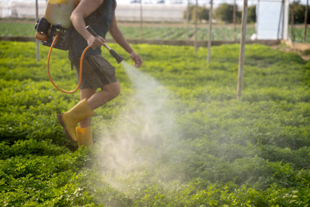 Best Pest Control Near Me  in Groton, SD