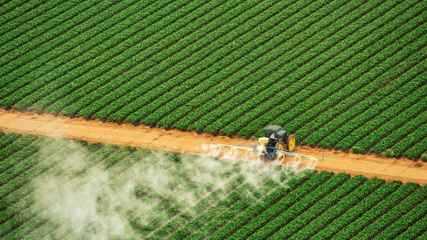 Trusted Groton, SD Pest Control Experts