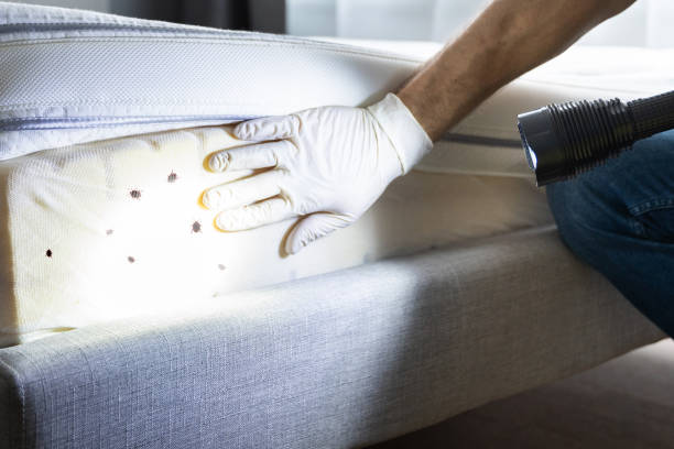 Best Wildlife Control Services  in Groton, SD