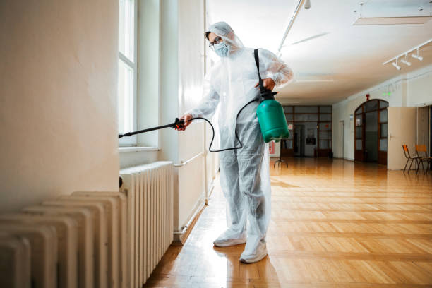 Best Affordable Pest Control Services  in Groton, SD