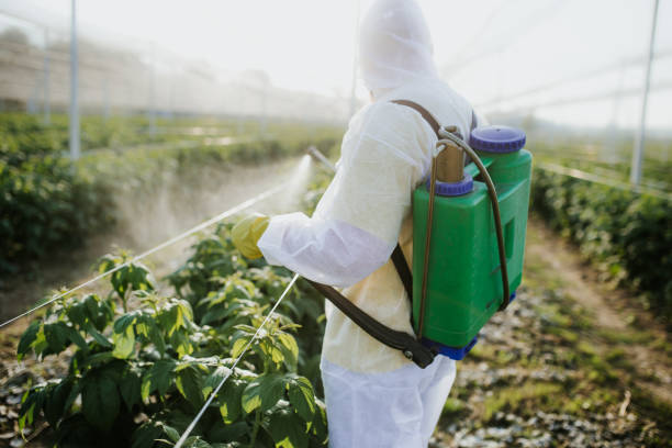 Best Mosquito Control Services  in Groton, SD